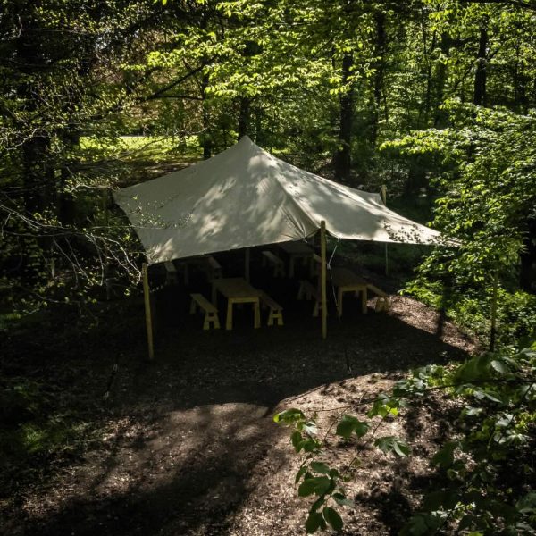 stretch-tent-til-overdaekke-i-skoven