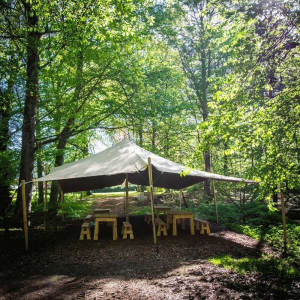 stretch-tent-til-overdaekke-i-skoven