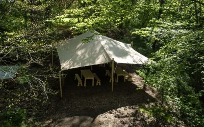 Stretch telt i skoven