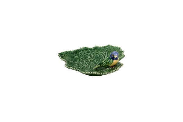 Cinerária - Leaf & Blue Bird - Image 2