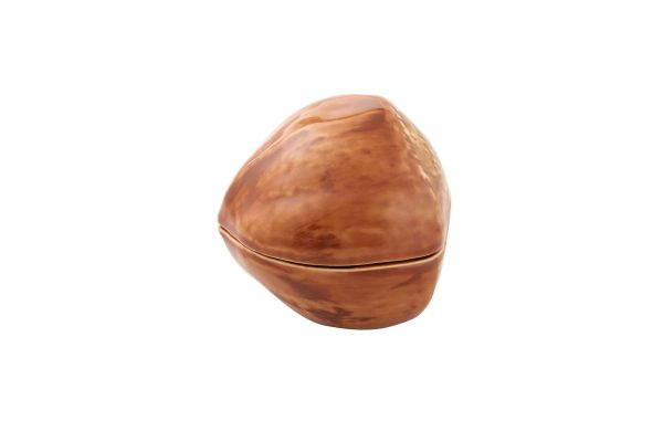 Nuts - Hazelnut - Image 2