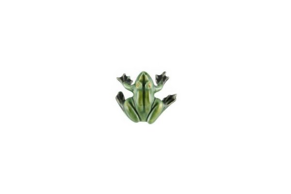 Magnets - Little Frog - Image 2