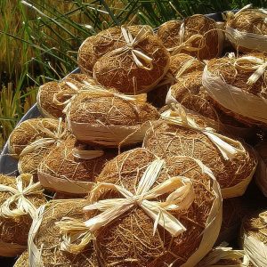 Heart of Vetiver