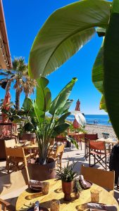 Oyana Beach House of Marbella 8 169x300