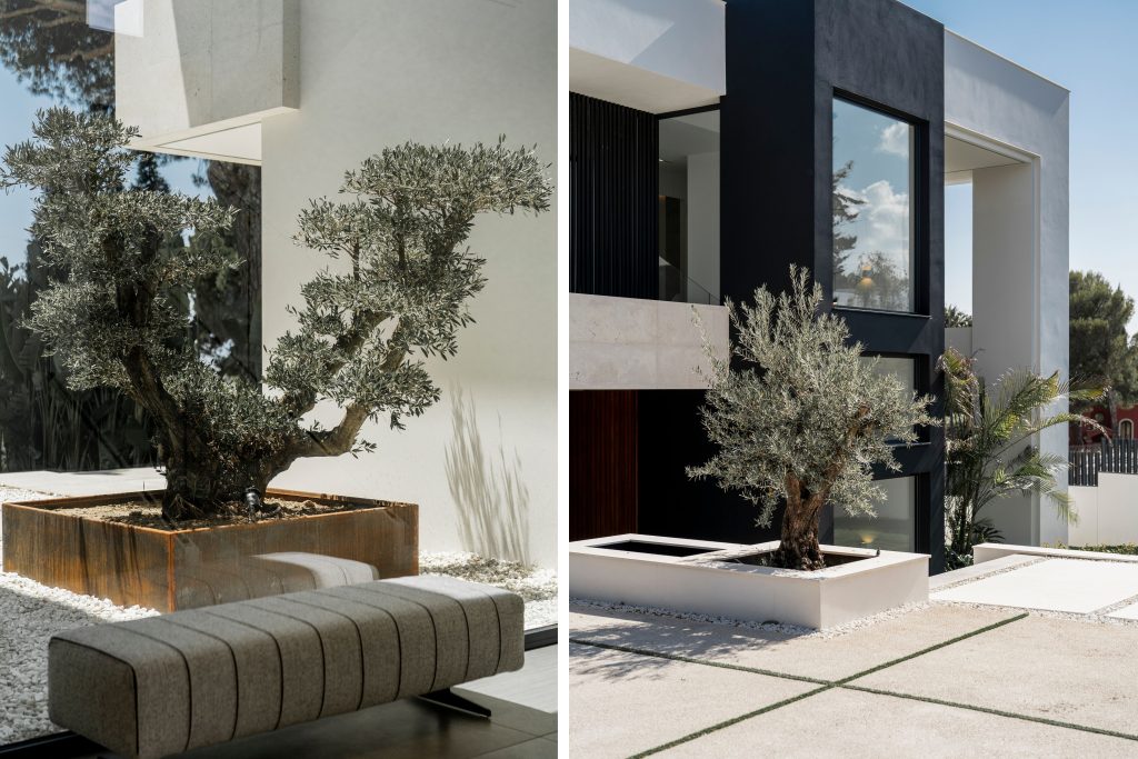 Villa Fortuna 16 1024x683