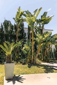 House of marbella 19 200x300