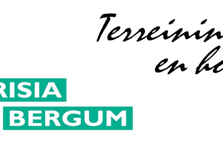 logo Frisia Bergum