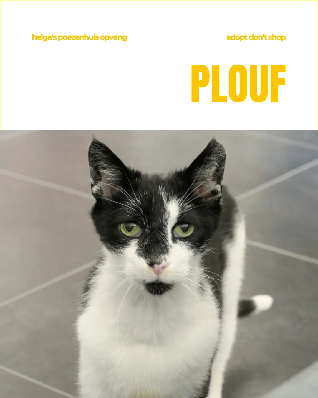 PLOUF1