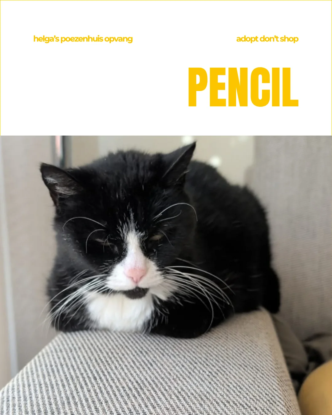 PENCIL 1