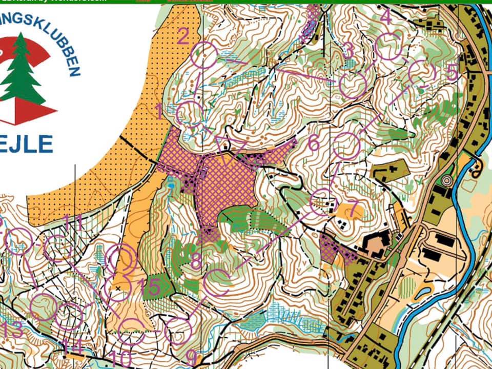 Første HSOK'r på podiet i Ungarn til WMOC