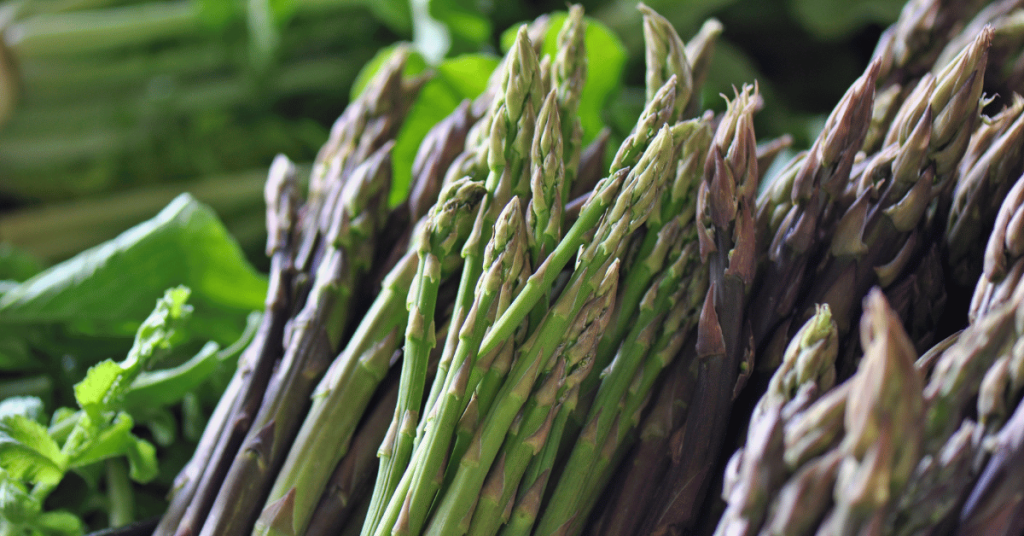  Asparagus - a perennial plant