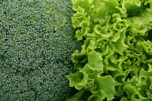 Leafy greens and the cruciferous plants - Broccoli & Lettuce