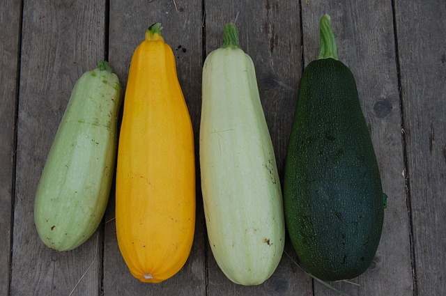 Marrow vegetables - Zucchini