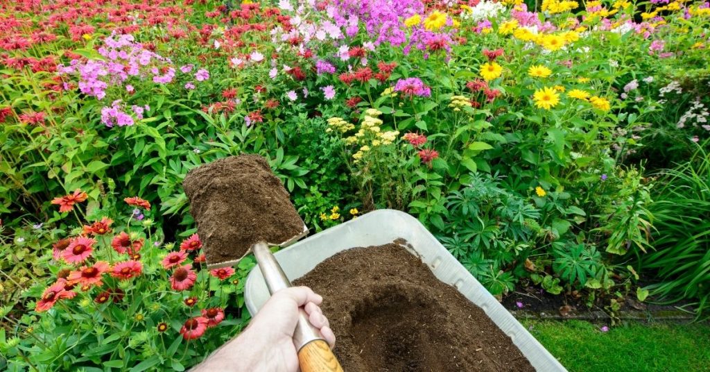 Amend your soil with compost from your own household