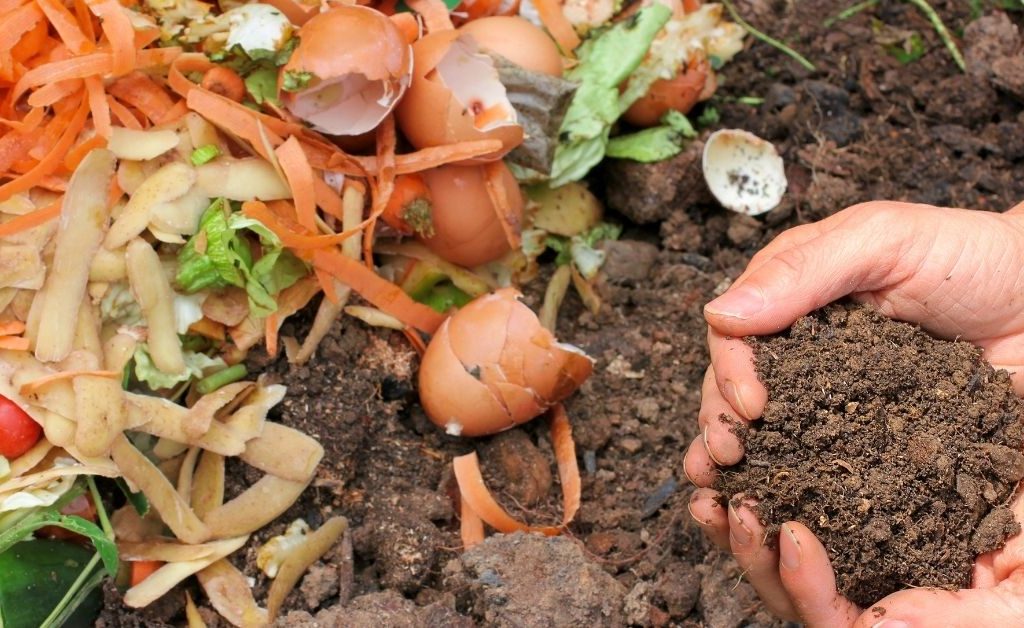 Turn kitchen waste into fertile soil