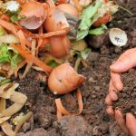 Turn kitchen waste into fertile soil