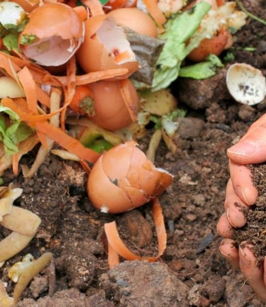 Hugelkultur Works Hugelkultur and gardening tips