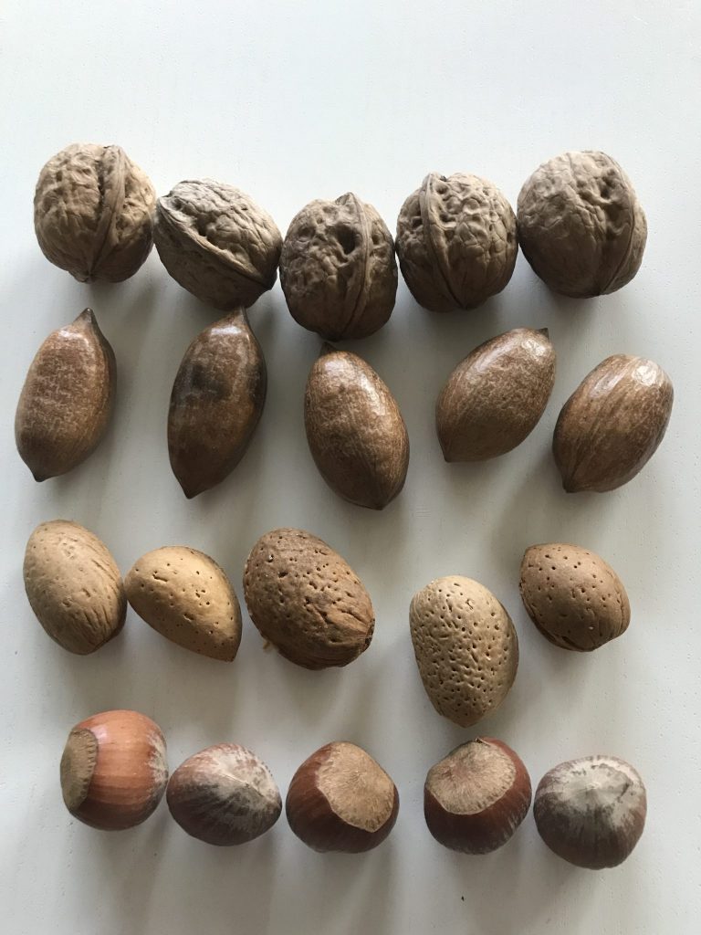 These were the five nuts I chose for this experiment.
From top: Walnut, Pecan, Almond and Hazel