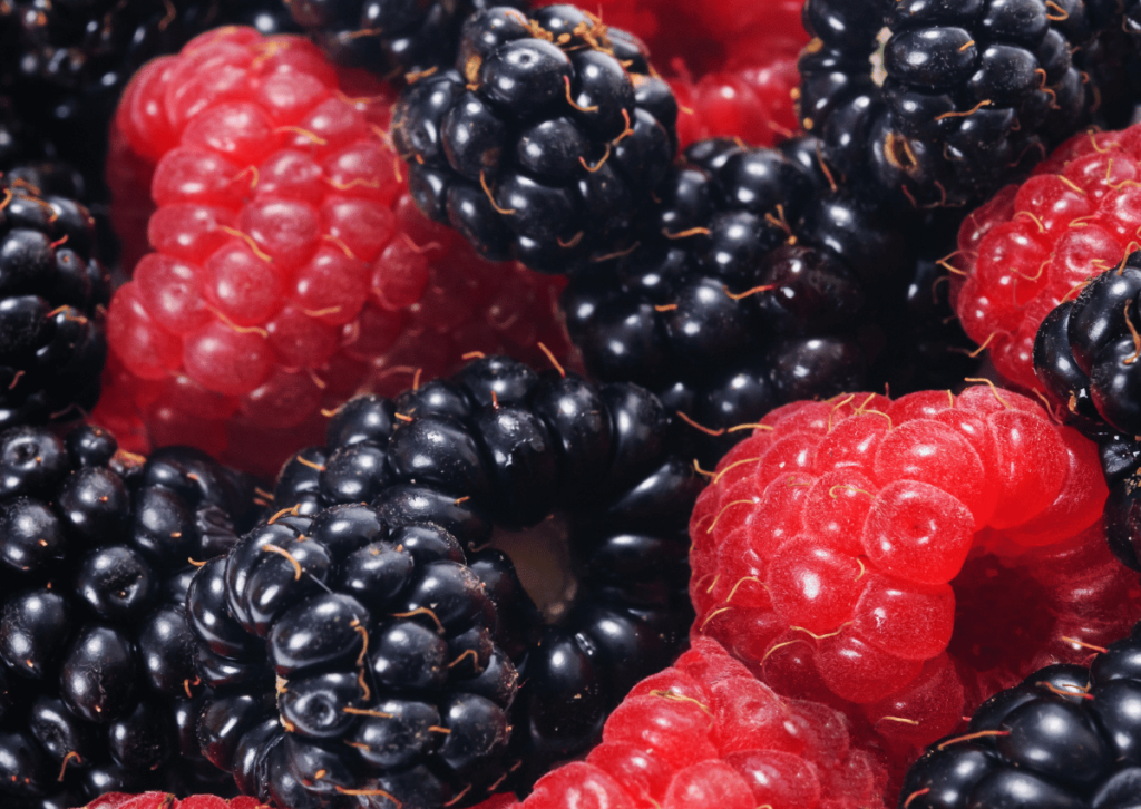 Discover the Sweet and Tart Flavors of Scandinavian Red and Black Raspberries