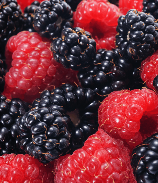 Discover the Sweet and Tart Flavors of Scandinavian Red and Black Raspberries