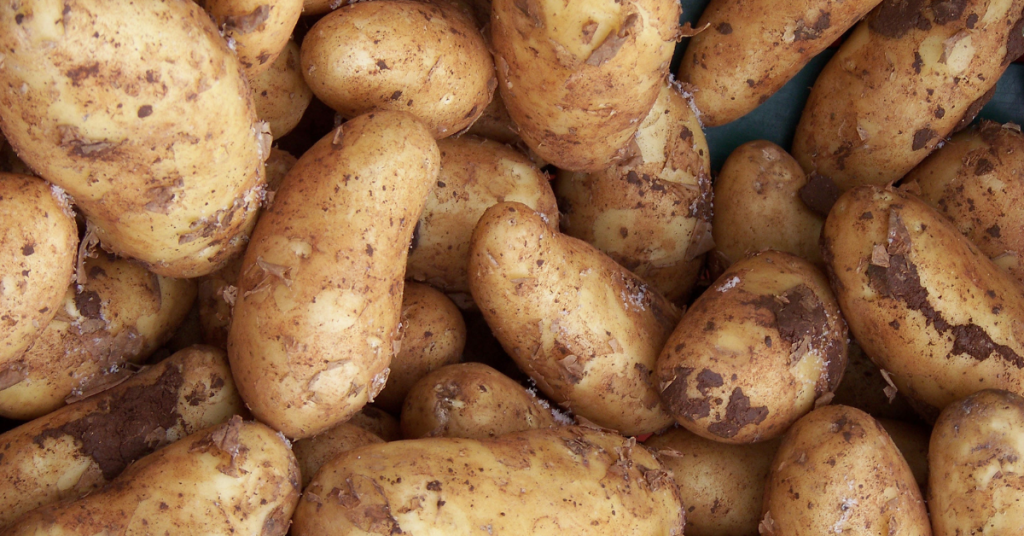 We all know, or should, that potatoes are native to South America. Perhaps we can find other, non-invasive non-native, plants that can also have a very positive addition to us.