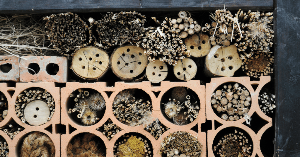 Consider adding an insect hotel as a shelter for insects to your garden