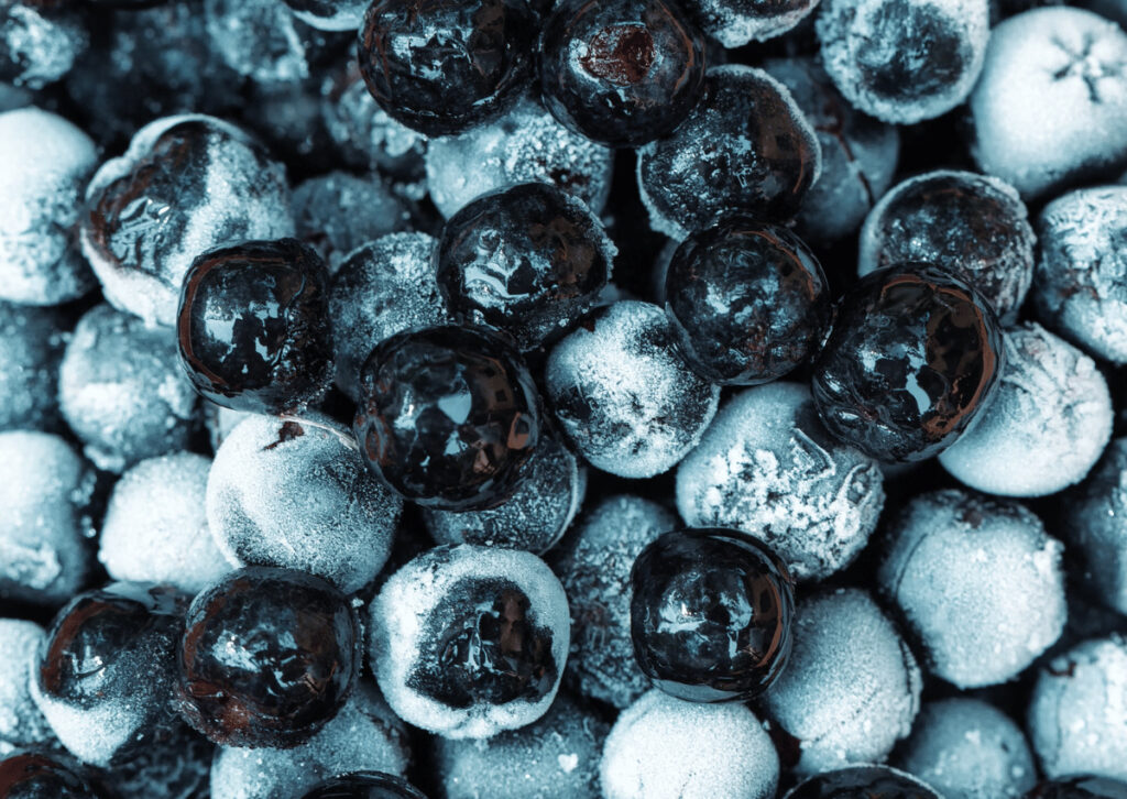 Plant Profile: Aronia - Frozen