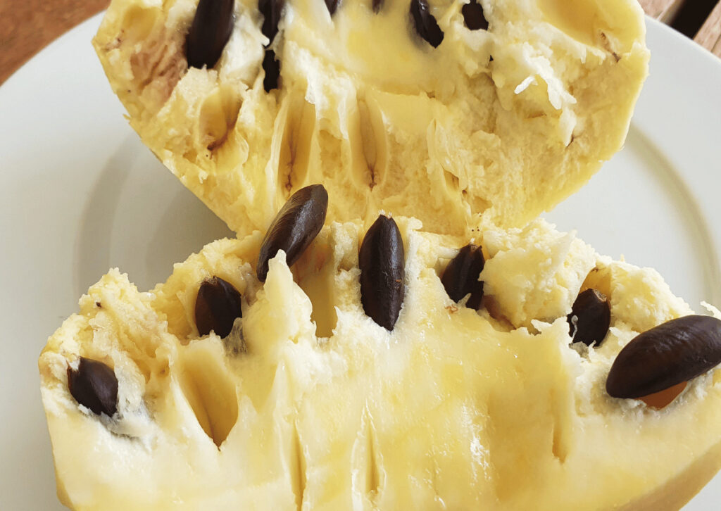 Plant Profile: Pawpaw – Sliced fruit