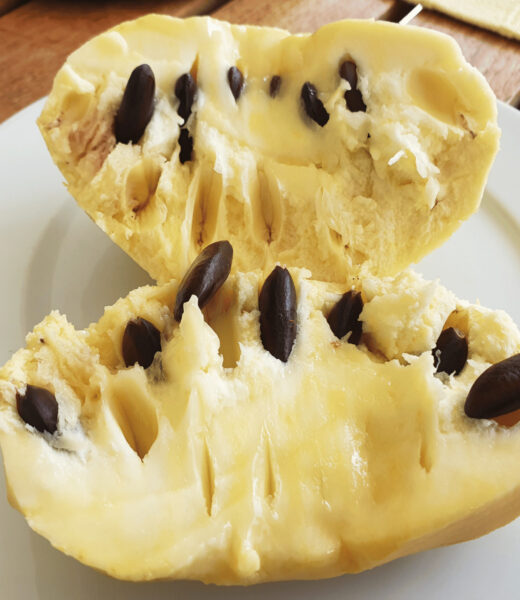 Plant Profile: Pawpaw – Sliced fruit