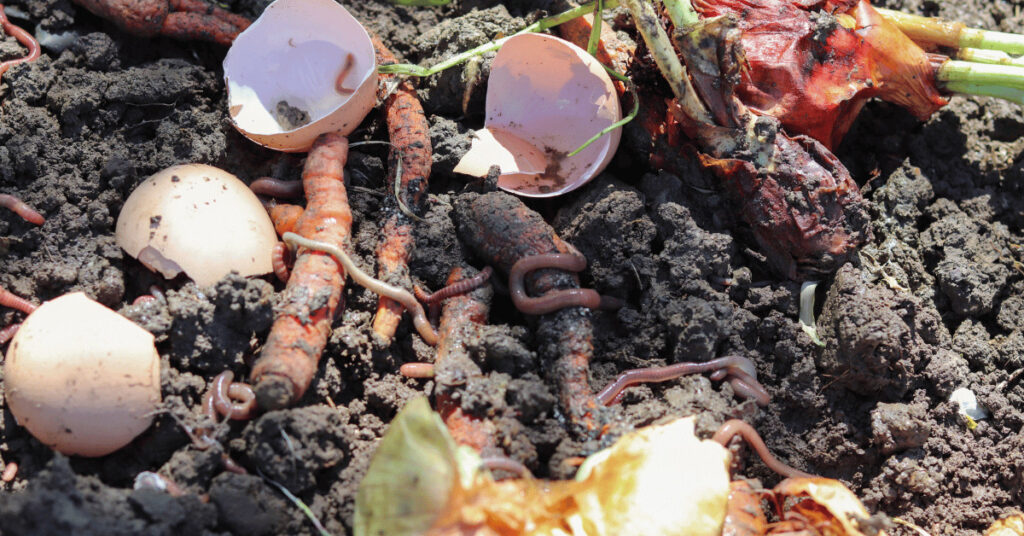 Provide organic matter for earthworms. It doesn't have to be this much, but it has been some sort of food for them.