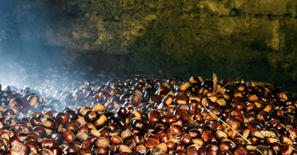 Curing Sweet Chestnuts