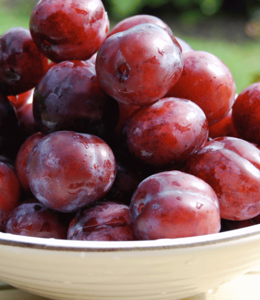 Plant Profile: Plum – The Sweet and Versatile Gem of Your Orchard