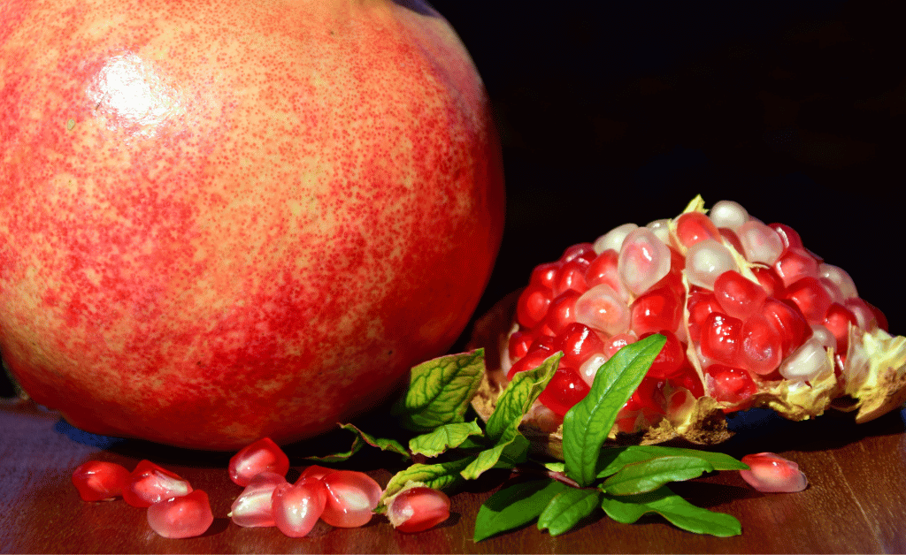 https://usercontent.one/wp/www.hugelkulturworks.com/wp-content/uploads/2023/10/Plant-Profile-Pomegranate-%E2%80%93-The-Jewel-of-the-Orchard-1024x628.png?media=1697126199