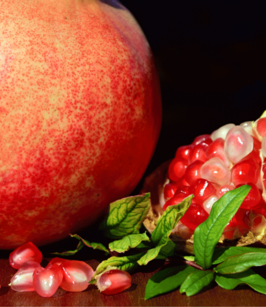 Plant Profile: Pomegranate – The Jewel of the Orchard