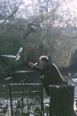 St James park