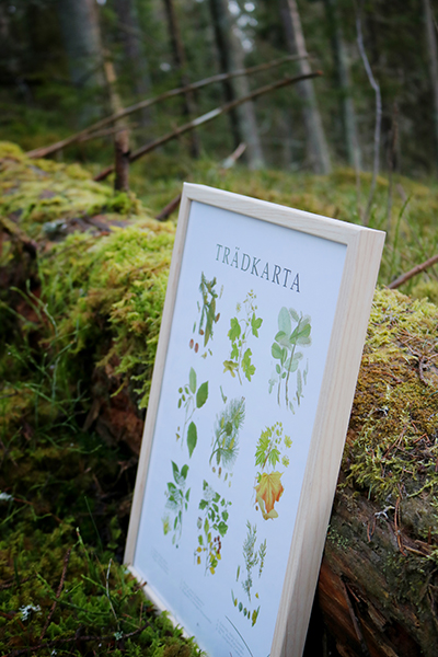 Poster Trädkarta