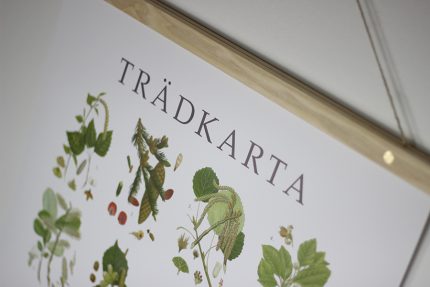 Poster Trädkarta