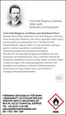 Tändsticksask - Baksida