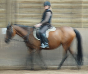 paardenallergie allergie voor paard