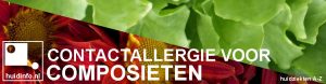 allergie voor composieten