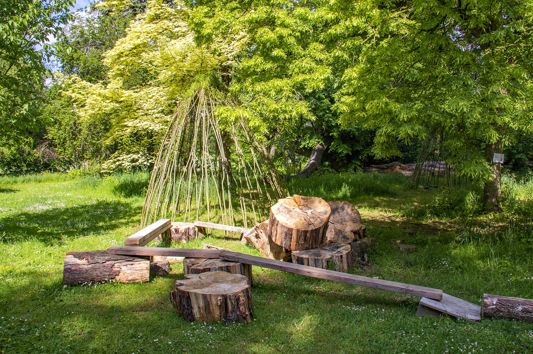 cropped-Willgenhut-met-stronkenparcours.jpg