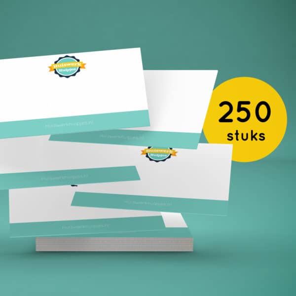 Flashcards_Begrippen_leren_250 stuks