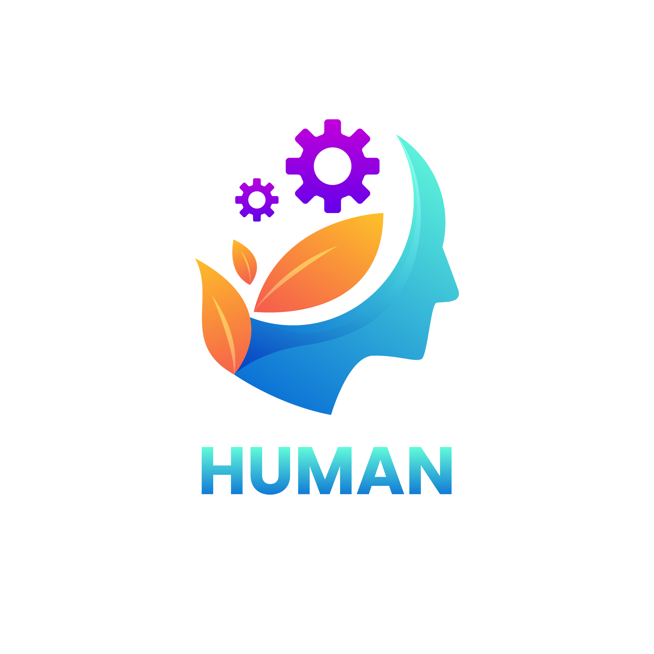 human-engineering.nl