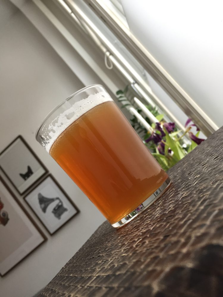 Chinook & Citra Pale Ale Humlegatan
