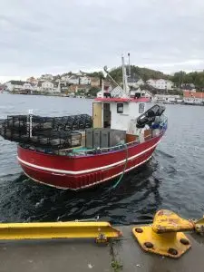 Risøy