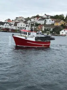 Risøy - Bilde 6
