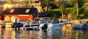 Sunniva med deltakarrett Leppefisk - Bilde 12