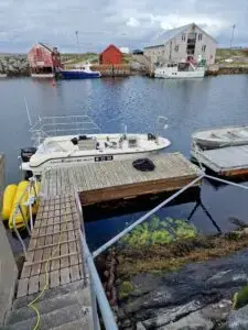 Sunniva med deltakarrett Leppefisk - Bilde 11