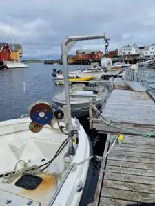 Sunniva med deltakarrett Leppefisk - Bilde 10