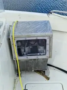 Sunniva med deltakarrett Leppefisk - Bilde 9